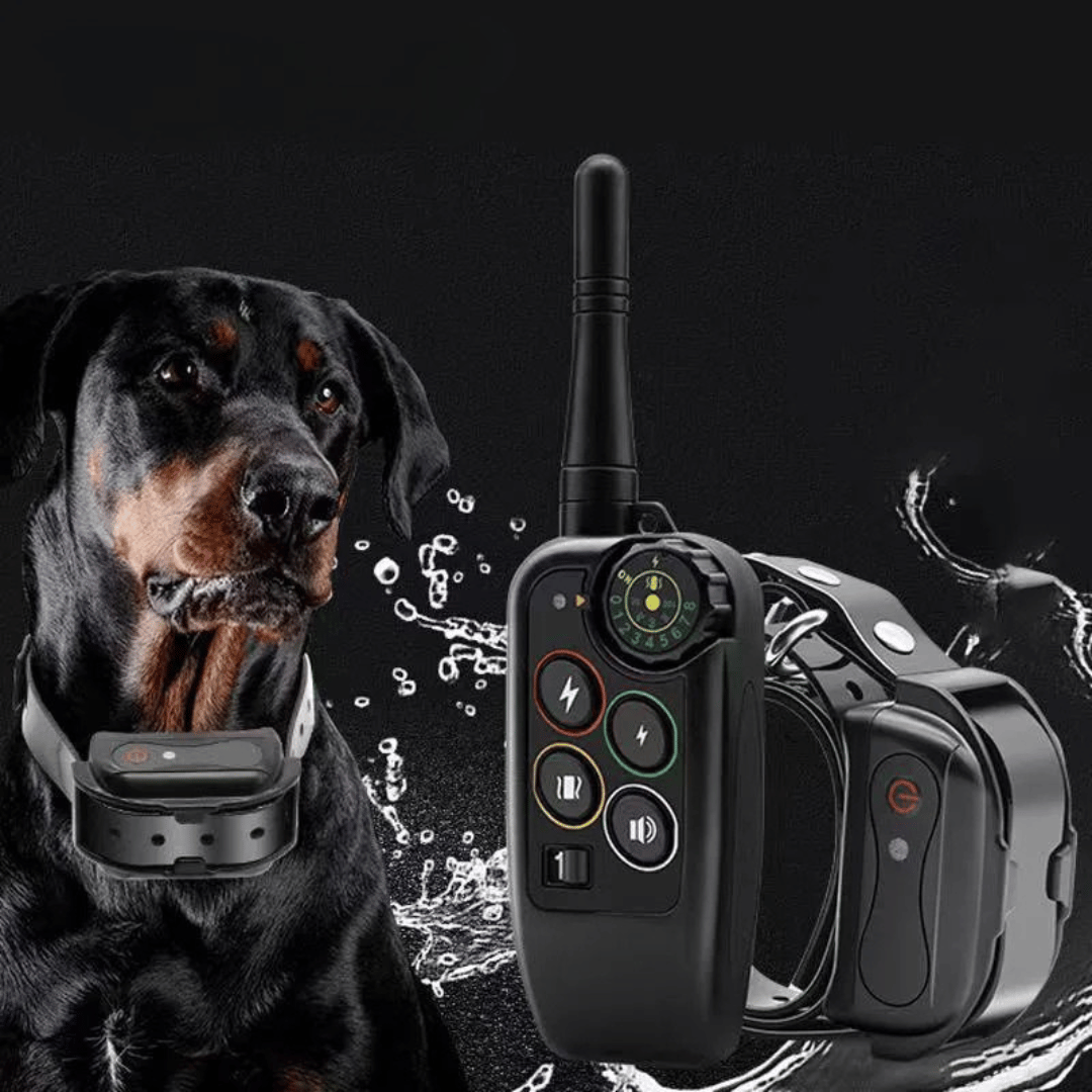 1000m Waterproof Dog Training Collar with Remote, Beep, Vibration and Stimulation Modes