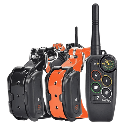1000m Waterproof Dog Training Collar with Remote, Beep, Vibration and Stimulation Modes