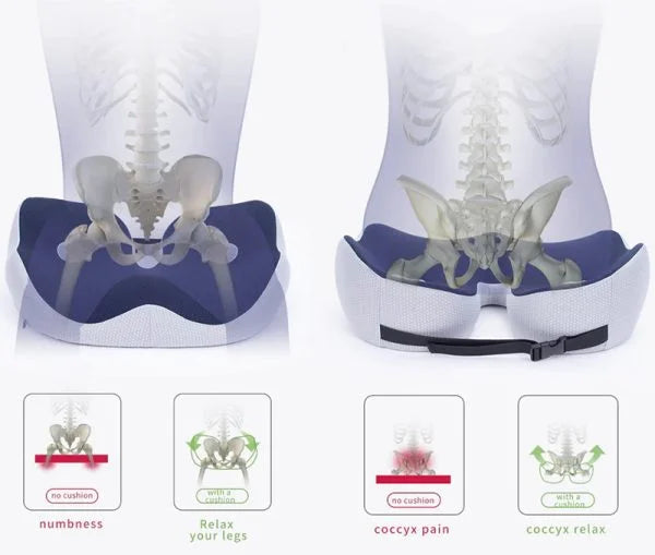 Adjustable Memory Foam Seat Cushion with Ergonomic Sit Bone Support