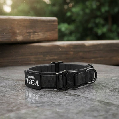 Adjustable Nylon Dog Collar with Padded Comfort and Handle