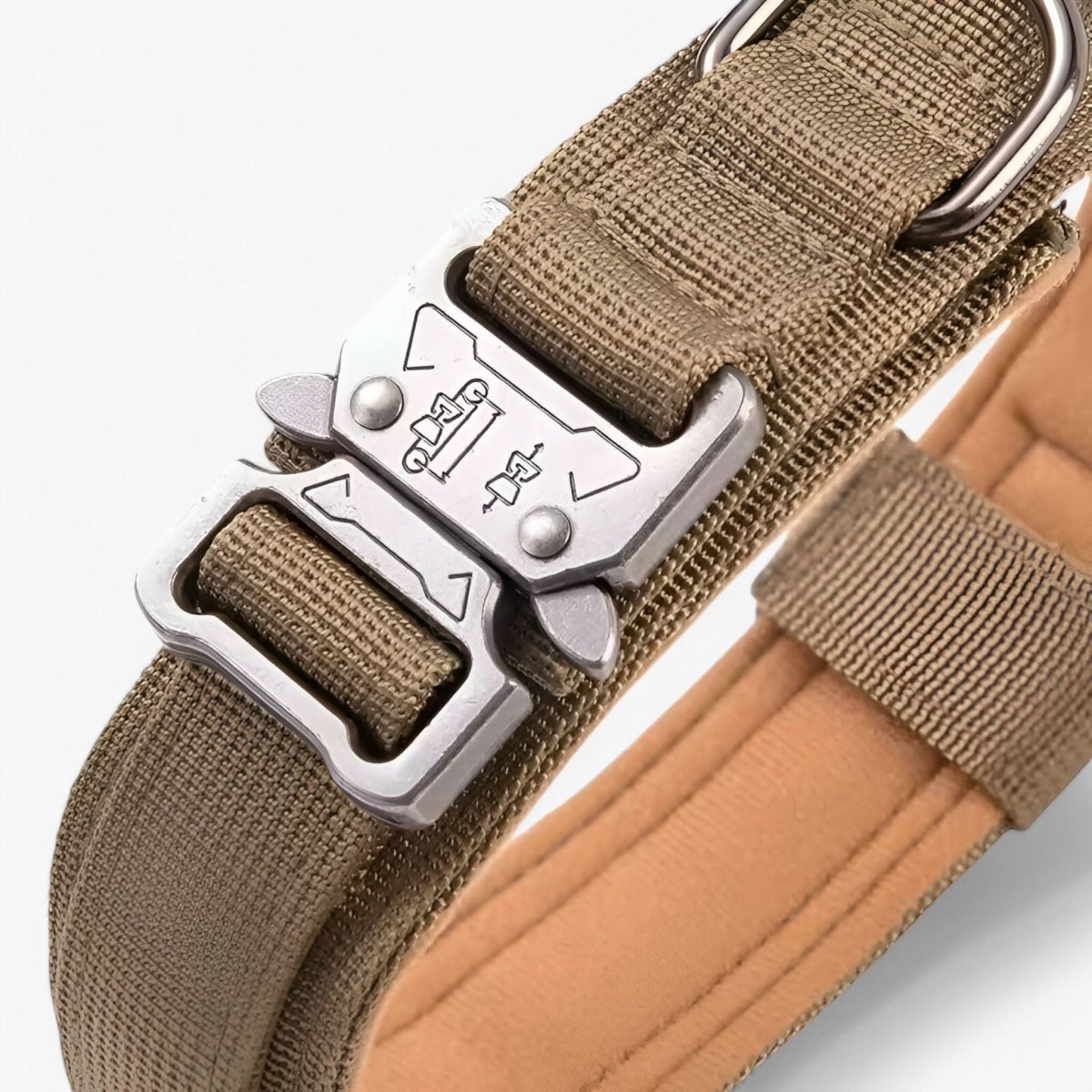 Adjustable Nylon Dog Collar with Padded Comfort and Handle