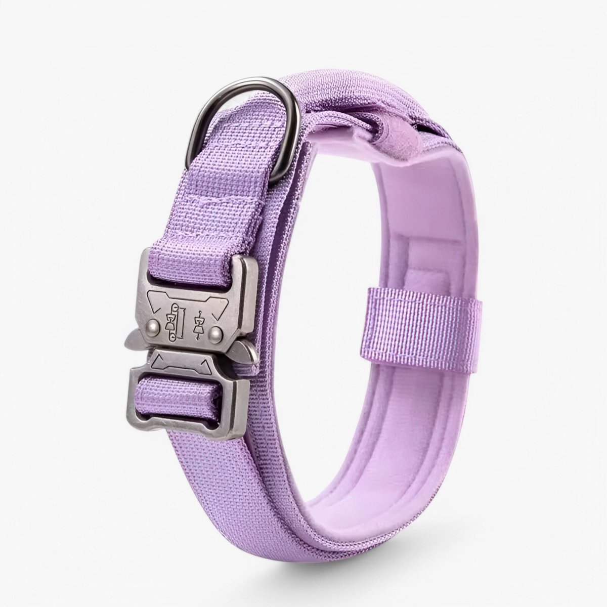 Adjustable Nylon Dog Collar with Padded Comfort and Handle