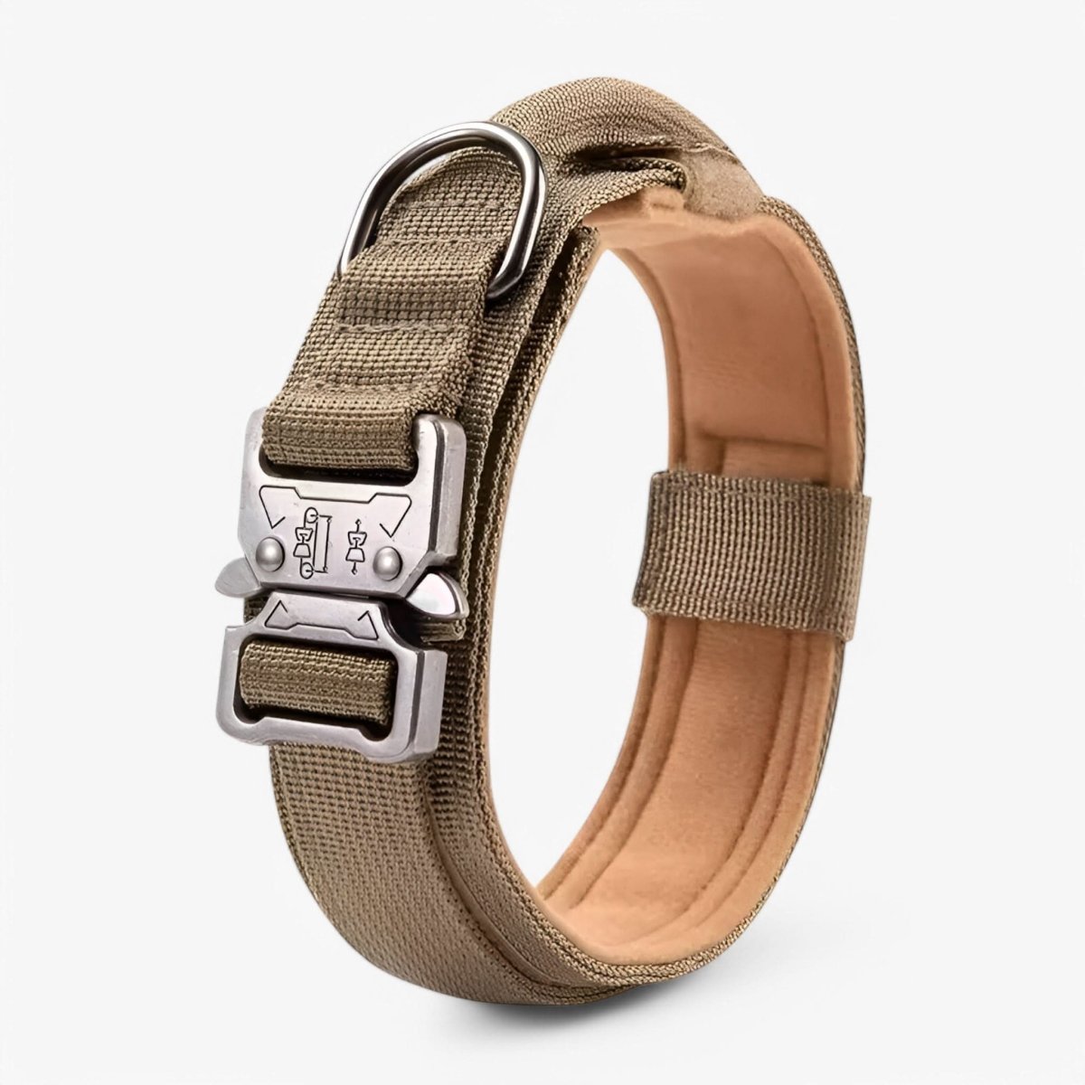 Adjustable Nylon Dog Collar with Padded Comfort and Handle