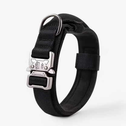 Adjustable Nylon Dog Collar with Padded Comfort and Handle