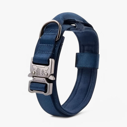 Adjustable Nylon Dog Collar with Padded Comfort and Handle