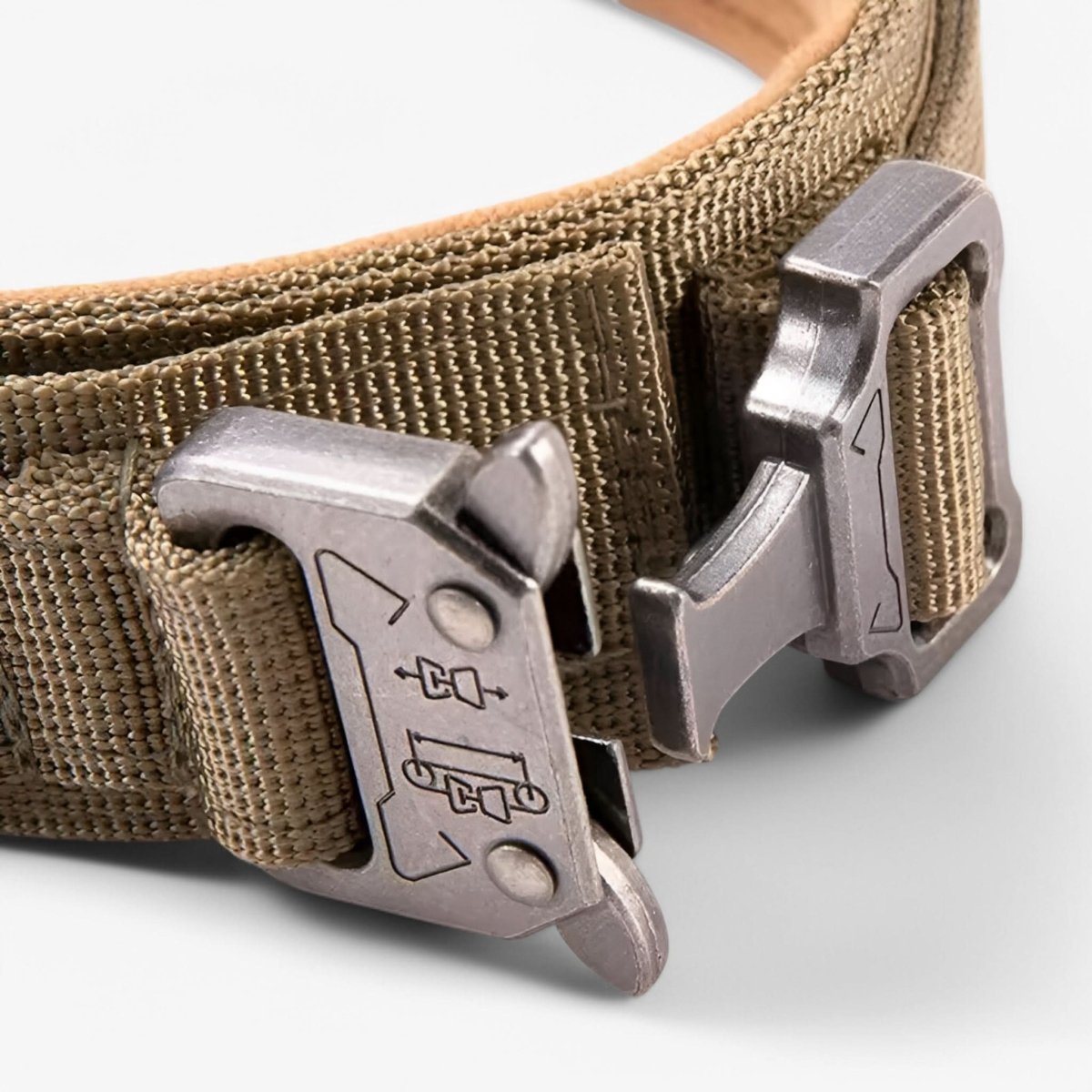 Adjustable Nylon Dog Collar with Padded Comfort and Handle