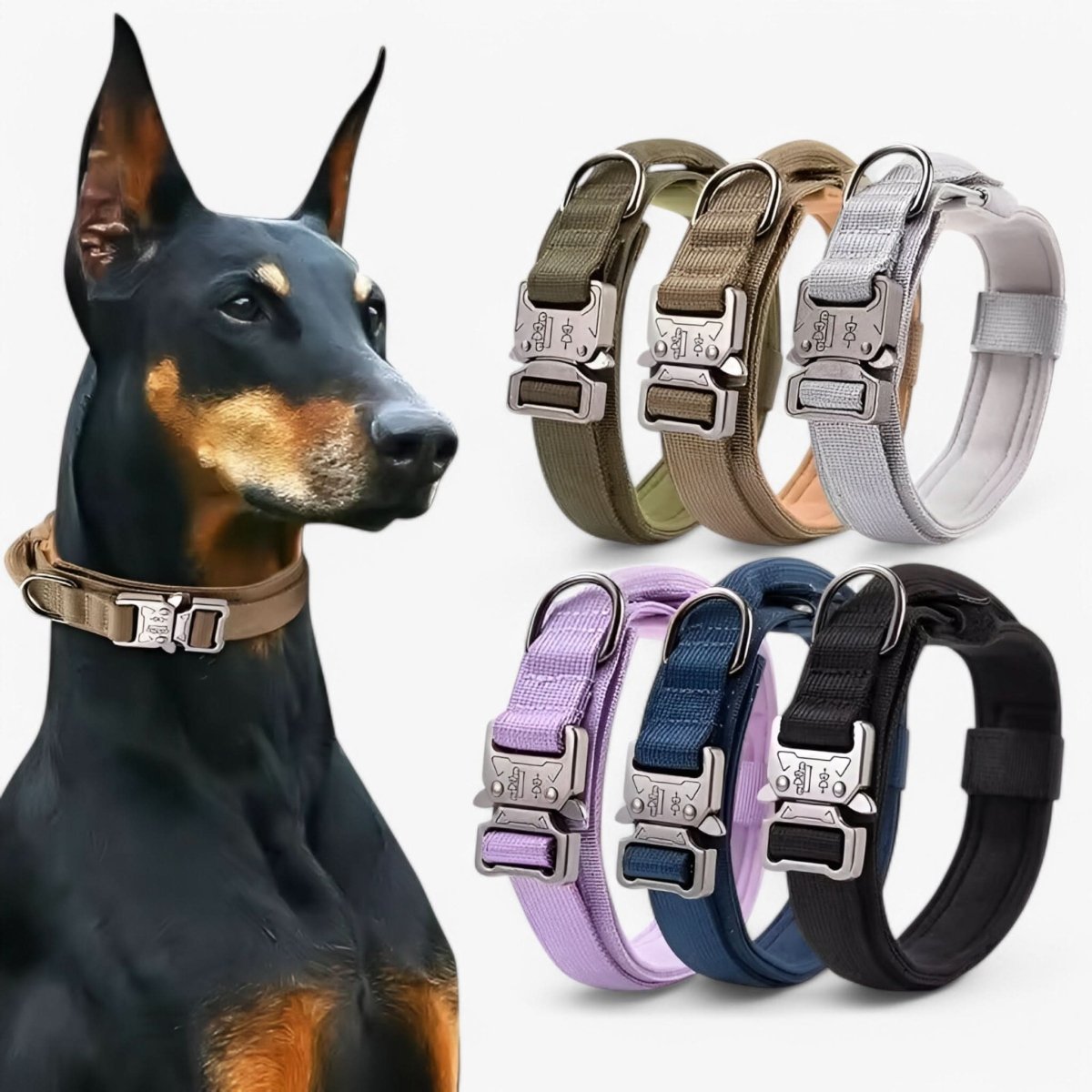 Adjustable Nylon Dog Collar with Padded Comfort and Handle