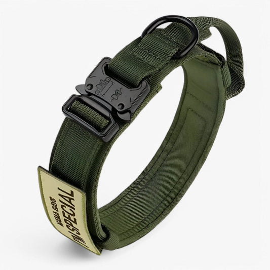 Adjustable Nylon Dog Collar with Padded Comfort and Handle