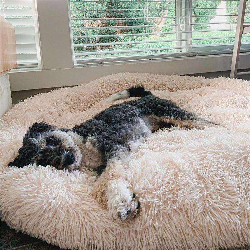 Anti-Stress Dog Cushion with Soft Plush Comfort and Supportive Design