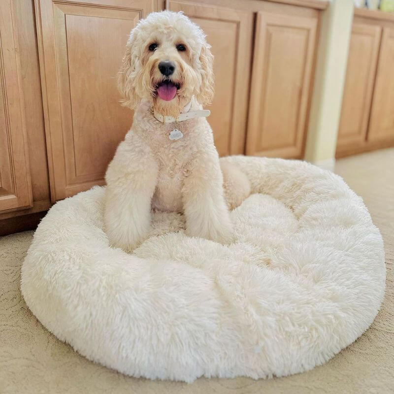 Anti-Stress Dog Cushion with Soft Plush Comfort and Supportive Design