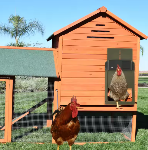 Automatic Chicken Coop Door with Timer and Light Sensor