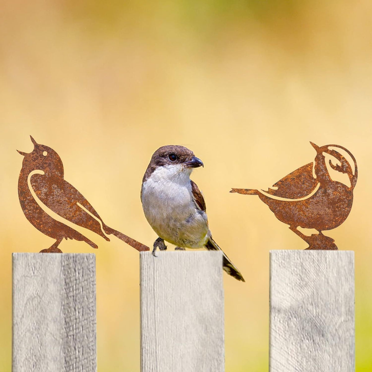 Corten Steel Garden Bird Sculptures with Rusted Finish for Outdoor Decor