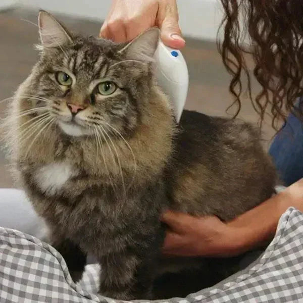 Electric Flea and Tick Remover Comb – Chemical-Free Pet Grooming Tool
