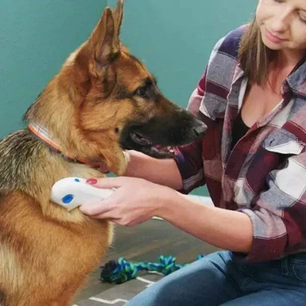 Electric Flea and Tick Remover Comb – Chemical-Free Pet Grooming Tool