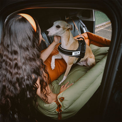 Faux Leather Dog Car Seat with Thick Padding and Expandable Space