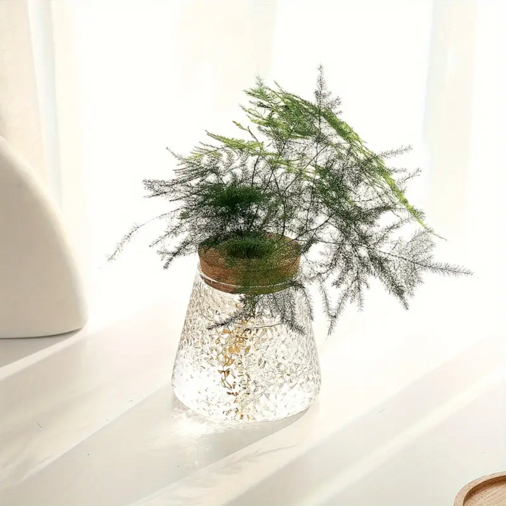 Glass Hydroponic Plant Vase with Cork Lid for Cuttings