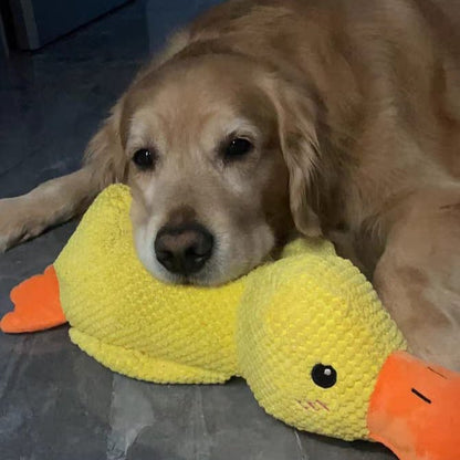 Interactive Duck Dog Toy with Squeaker and Tug Play