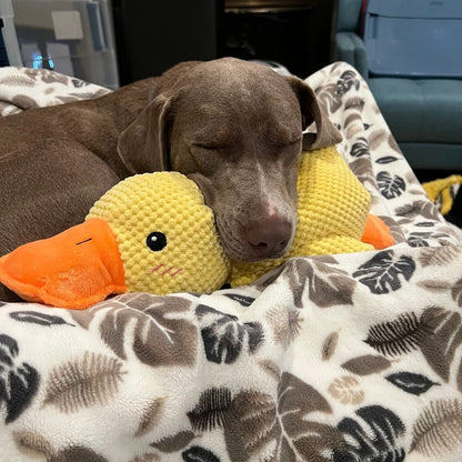 Interactive Duck Dog Toy with Squeaker and Tug Play