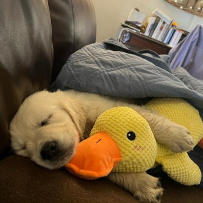 Interactive Duck Dog Toy with Squeaker and Tug Play