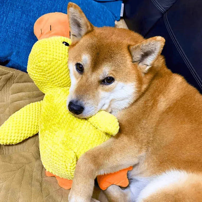 Interactive Duck Dog Toy with Squeaker and Tug Play