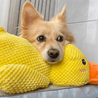 Interactive Duck Dog Toy with Squeaker and Tug Play