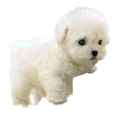 Interactive Plush Puppy Toy with Realistic Movement and Soft Synthetic Exterior