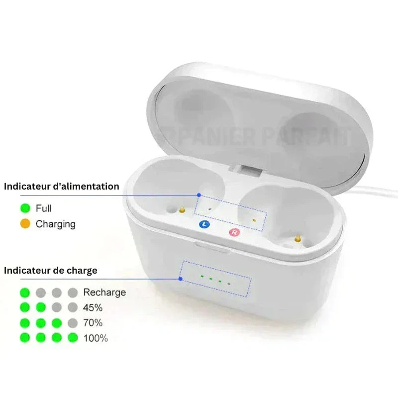 Invisible Rechargeable Hearing Aid with Noise Reduction and Flexible Fit