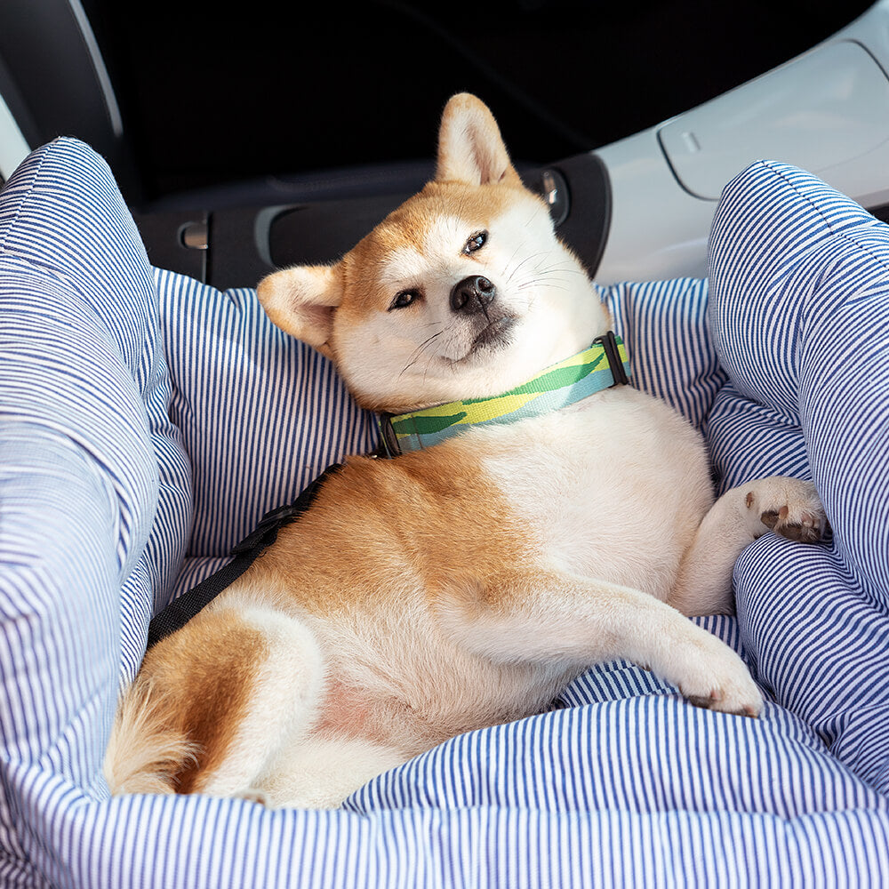 Large Dog Car Seat with Safety Straps and Washable Removable Cover