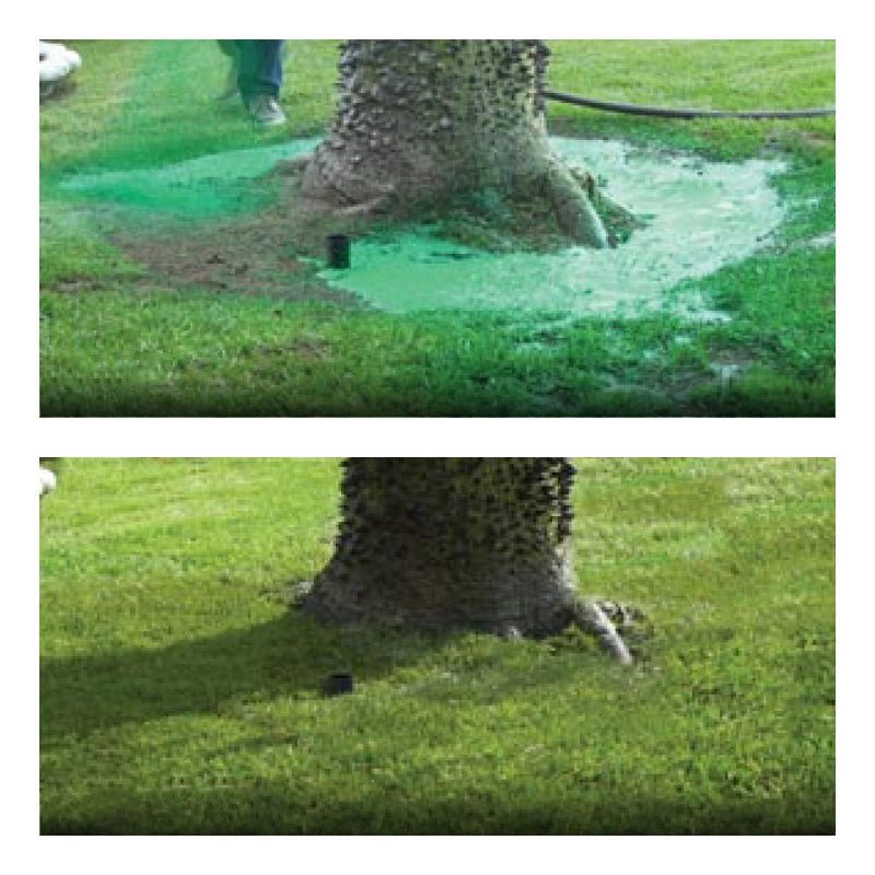 Liquid Lawn Seed Spray for Filling Thin and Bare Grass Areas