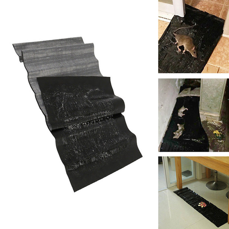 Mouse Trap with Strong Adhesive and Peanut Butter Scent