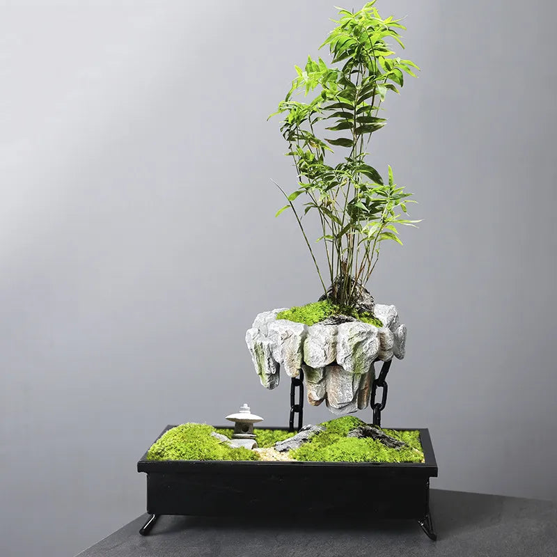 Natural Stone Bonsai Pot with Minimalist Design for Indoor Plants