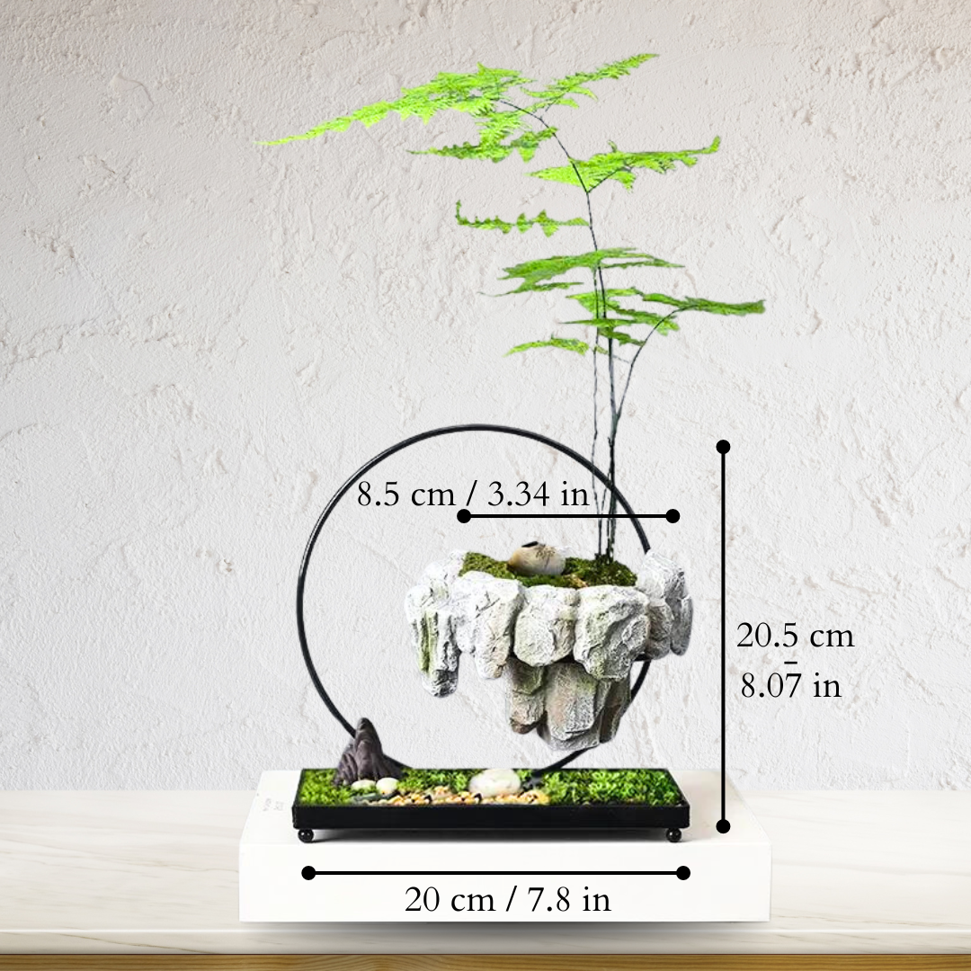 Natural Stone Bonsai Pot with Minimalist Design for Indoor Plants