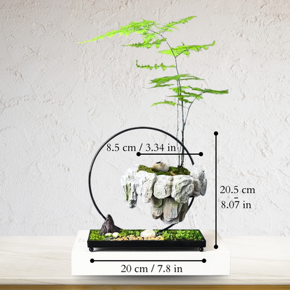 Natural Stone Bonsai Pot with Minimalist Design for Indoor Plants