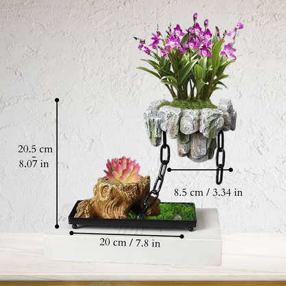 Natural Stone Bonsai Pot with Minimalist Design for Indoor Plants