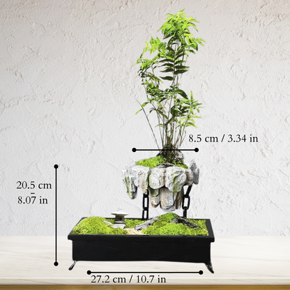 Natural Stone Bonsai Pot with Minimalist Design for Indoor Plants