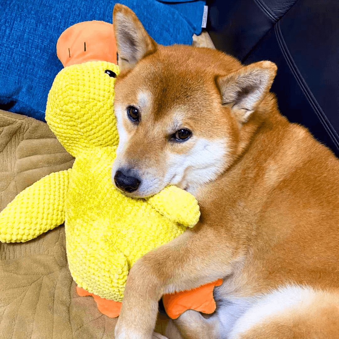 Plush Duck Dog Toy with Realistic Quack Sound and Soft Polyester Fabric