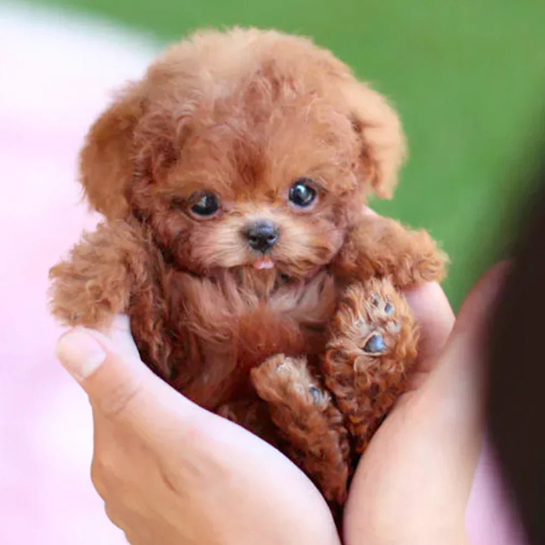 Realistic Plush Toy Puppy with Interactive Tail Wagging and Head Movement
