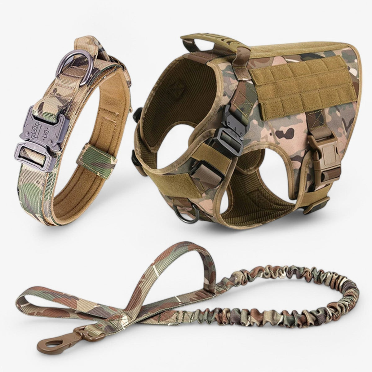 Reflective Nylon Dog Leash with Strong Handle for Training