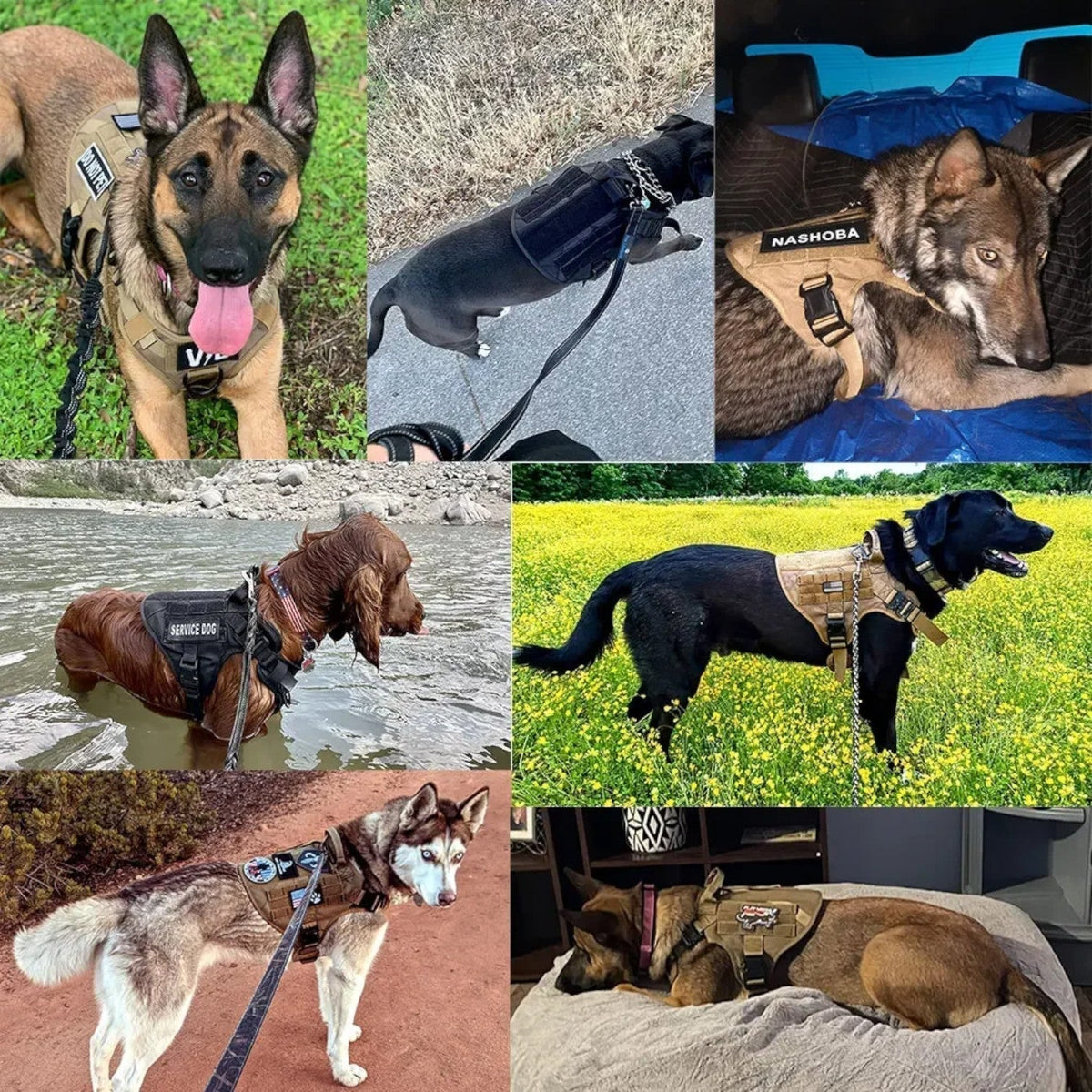 Reflective Nylon Dog Leash with Strong Handle for Training