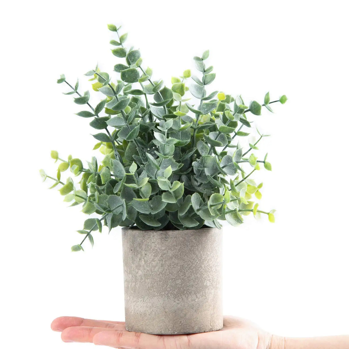 Set of 2 Artificial Eucalyptus Plants in Stone-Effect Pots