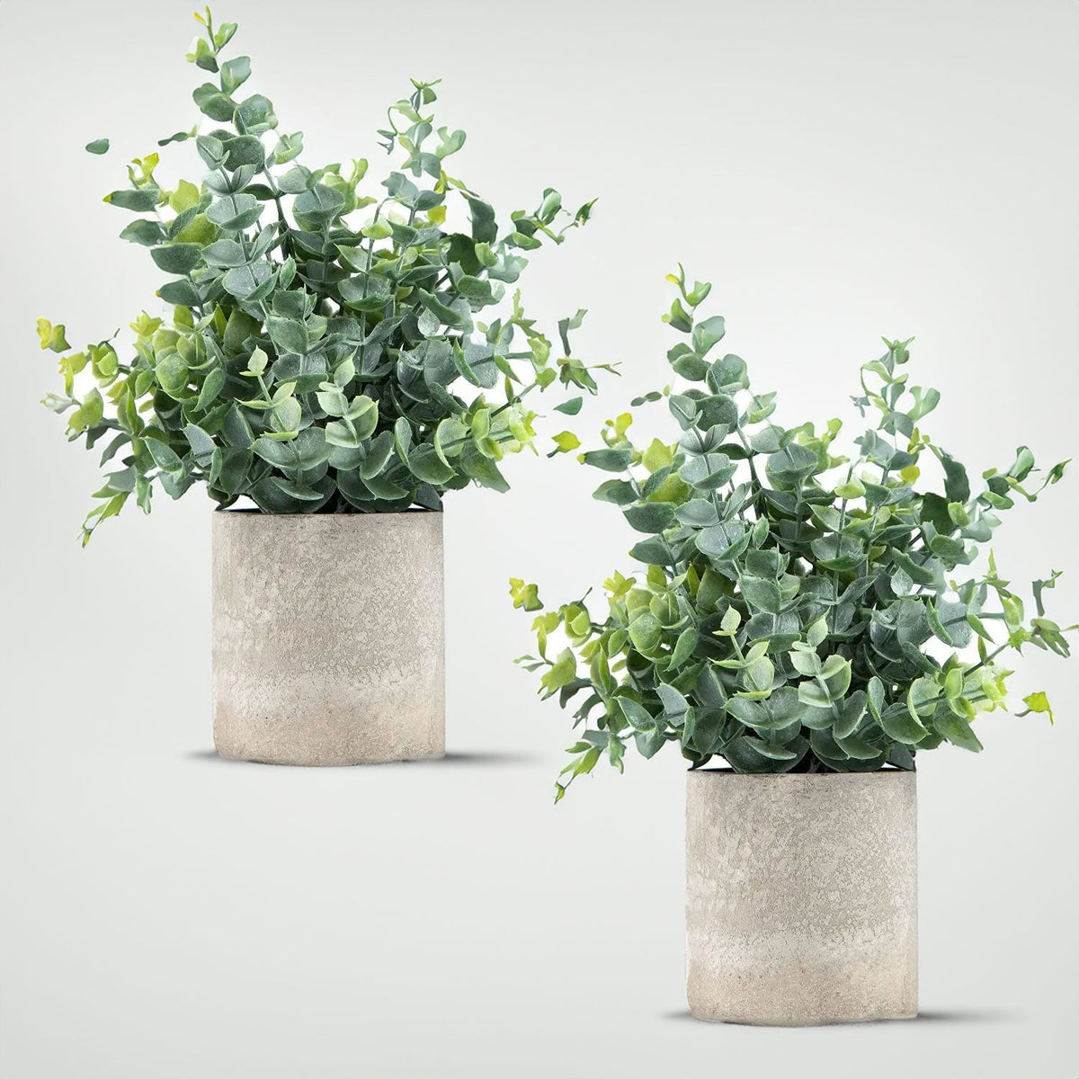 Set of 2 Artificial Eucalyptus Plants in Stone-Effect Pots