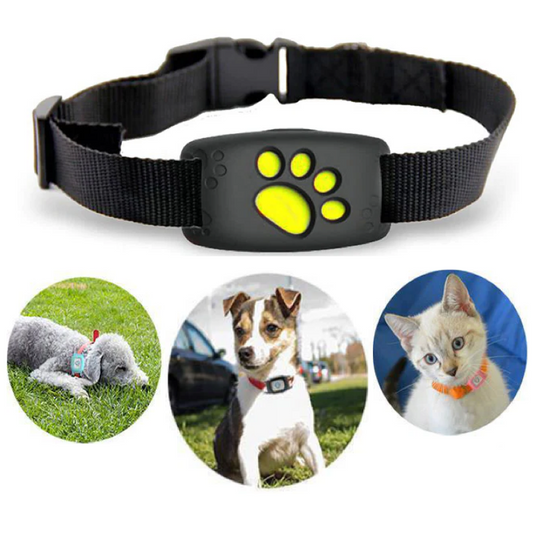 Smart GPS Cat Collar with Real-Time Tracking and Geo-Fence