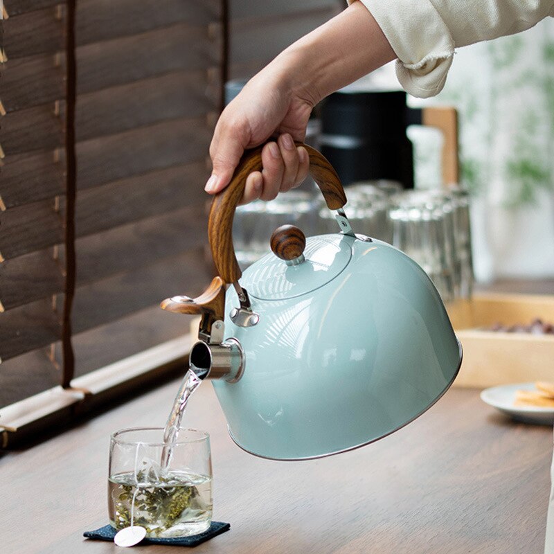 Stainless Steel Tea Kettle with 3 Litre Capacity and Ergonomic Handle