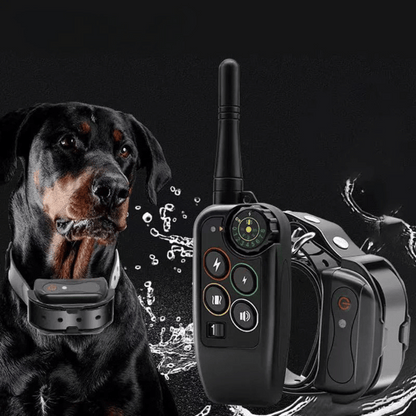 Waterproof 1000m Dog Training Collar with Remote Control