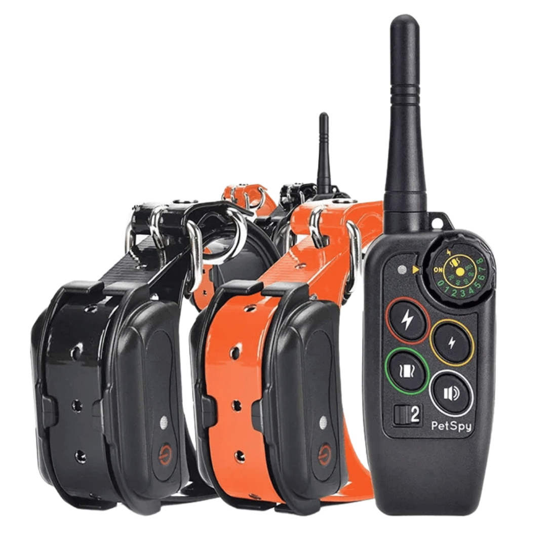 Waterproof 1000m Dog Training Collar with Remote Control