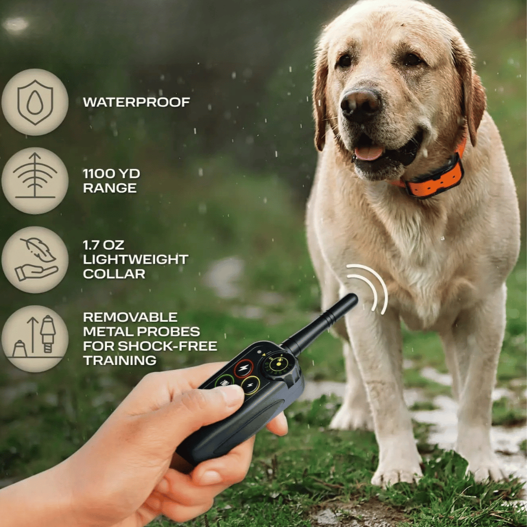 Waterproof 1000m Dog Training Collar with Remote Control