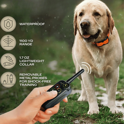 Waterproof 1000m Dog Training Collar with Remote Control