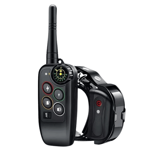 Waterproof 1000m Dog Training Collar with Remote Control
