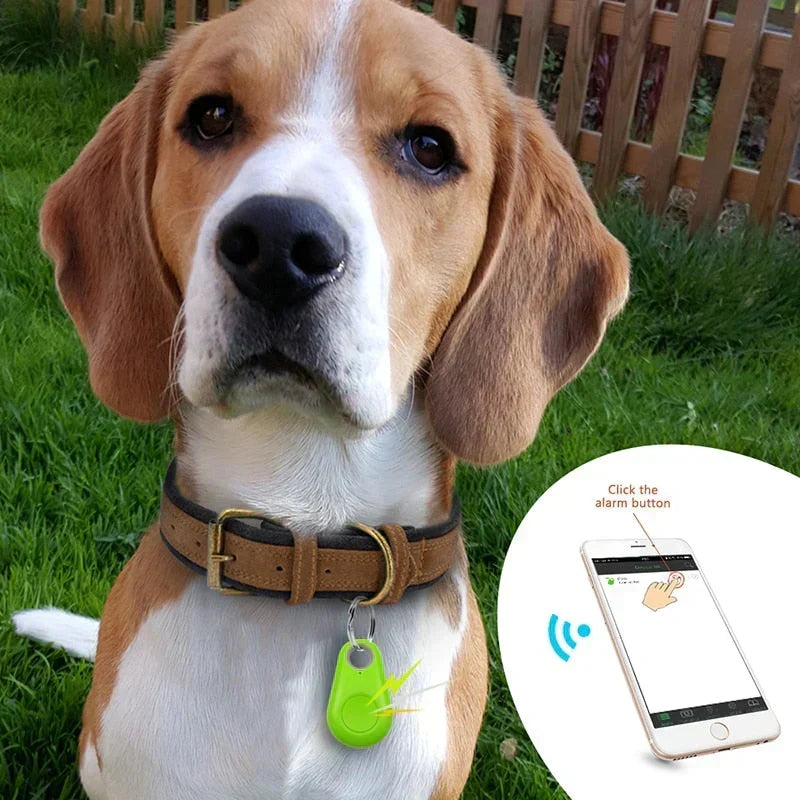 Waterproof GPS Pet Tracker with Real-Time Location