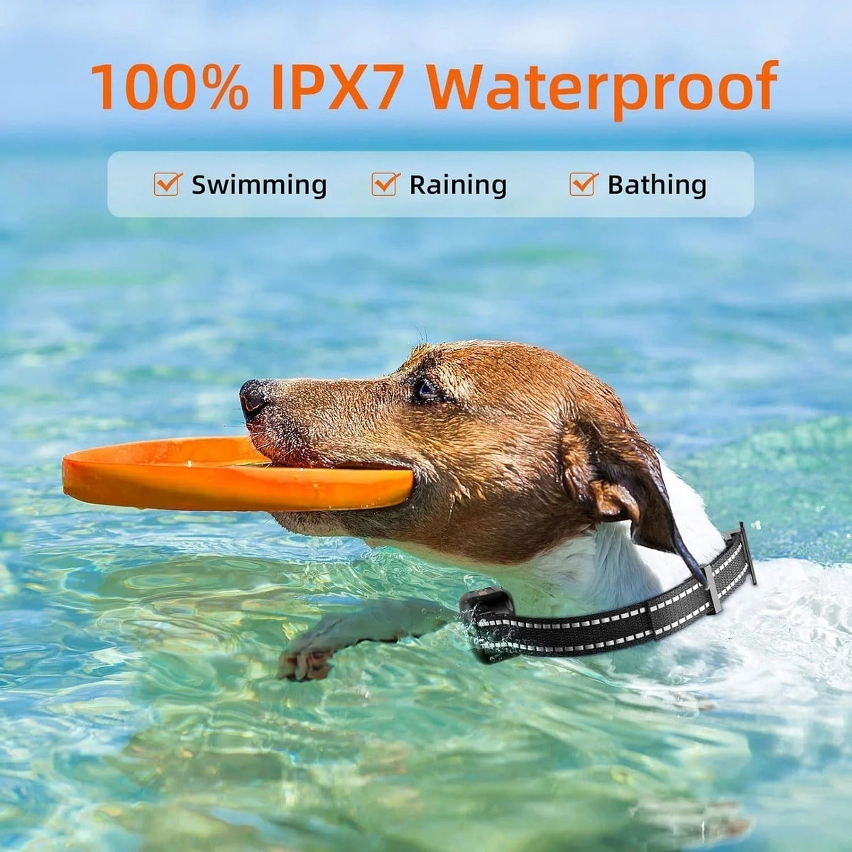 Waterproof Rechargeable Dog Training E-Collar with 1000m Remote Range